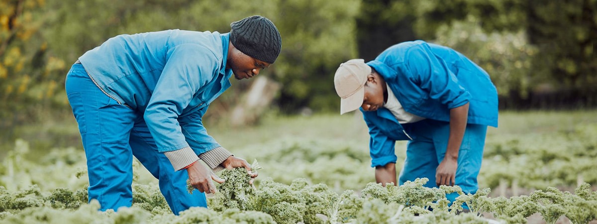 farmworker injuries and compensation